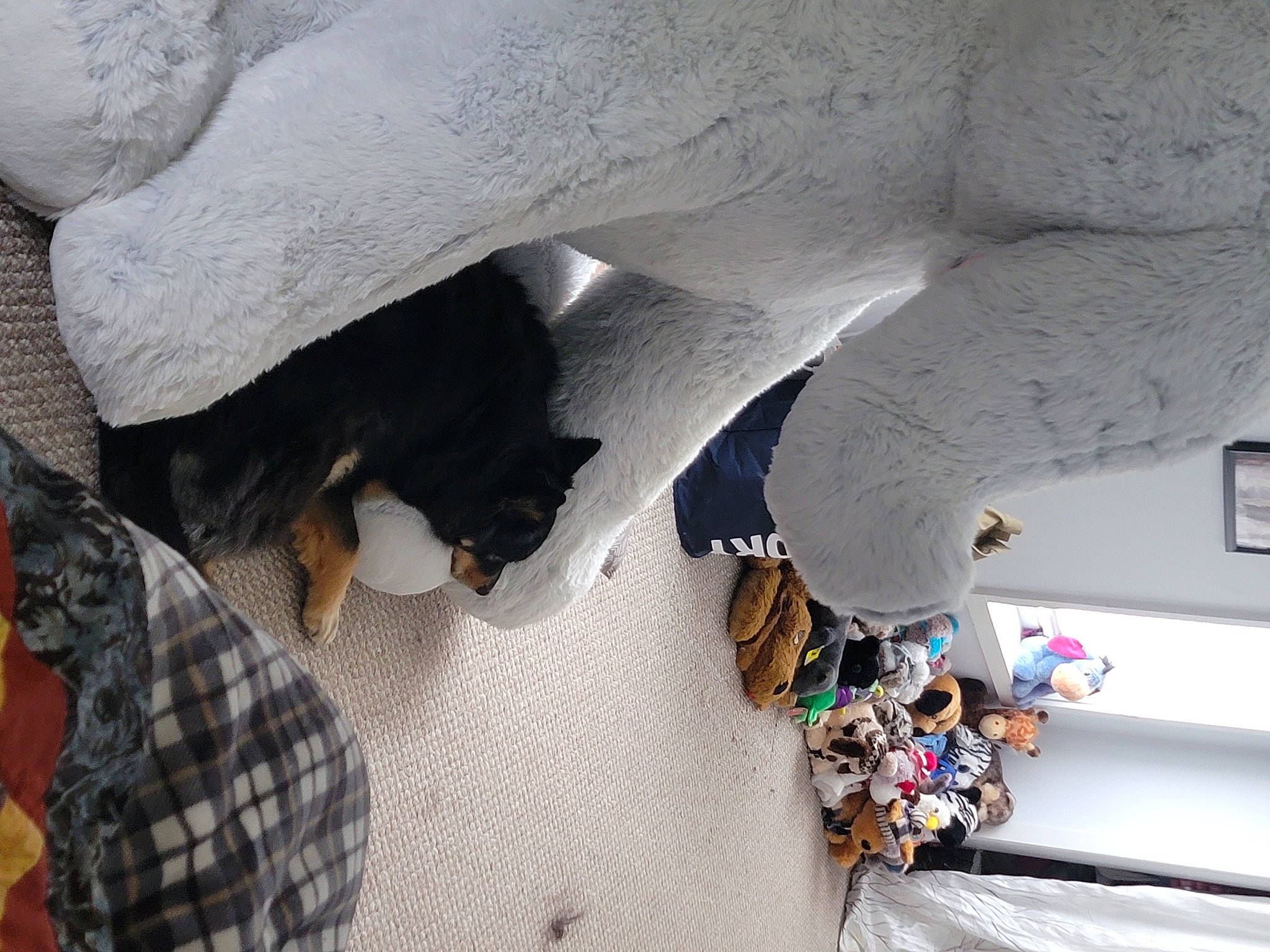 Piper joined the competition — help win amazing prizes! art, ceiling, cement, concrete, daylighting, flooring, freezing, pattern, plaid, plant, plaster, rock, room, sculpture, statue, tartan, tree, visual_arts