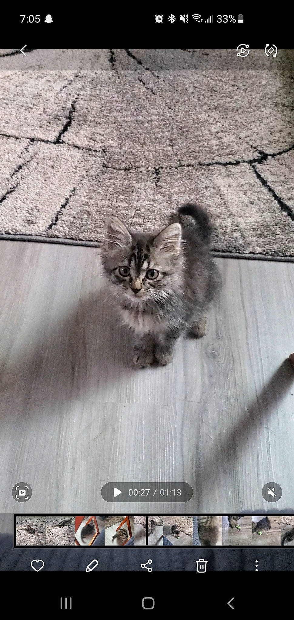 Meena joined the competition — help win amazing prizes! black, black_and_white, carnivore, cat, felidae, flooring, font, grey, line, monochrome, monochrome_photography, photograph, road_surface, small_to_medium_sized_cats, snapshot, snout, style, whiskers, white, wood