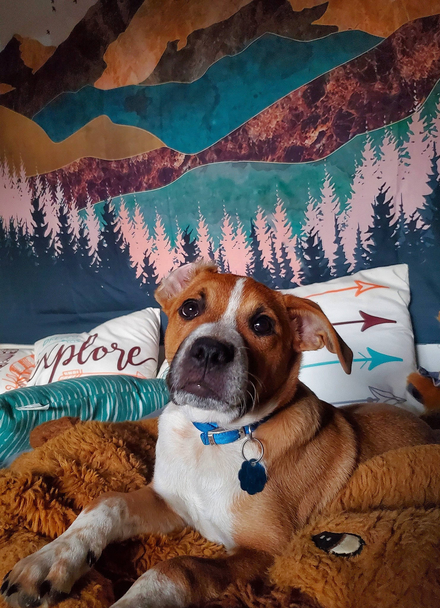 Harruq is registered to the contest to win money with this photo: art, canidae, carnivore, collar, companion_dog, dog, dog_breed, dog_collar, dog_supply, fawn, linens, liver, paint, painting, pet_supply, picture_frame, poster, snout, sporting_group, working_animal