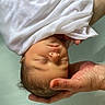 newborn, baby, infant, wrapped, white_cloth, hand, cradling, bath, water, peaceful, sleeping, skin, portrait, closeup, tender, care, soft_light, human, baby_face, newborn_baby