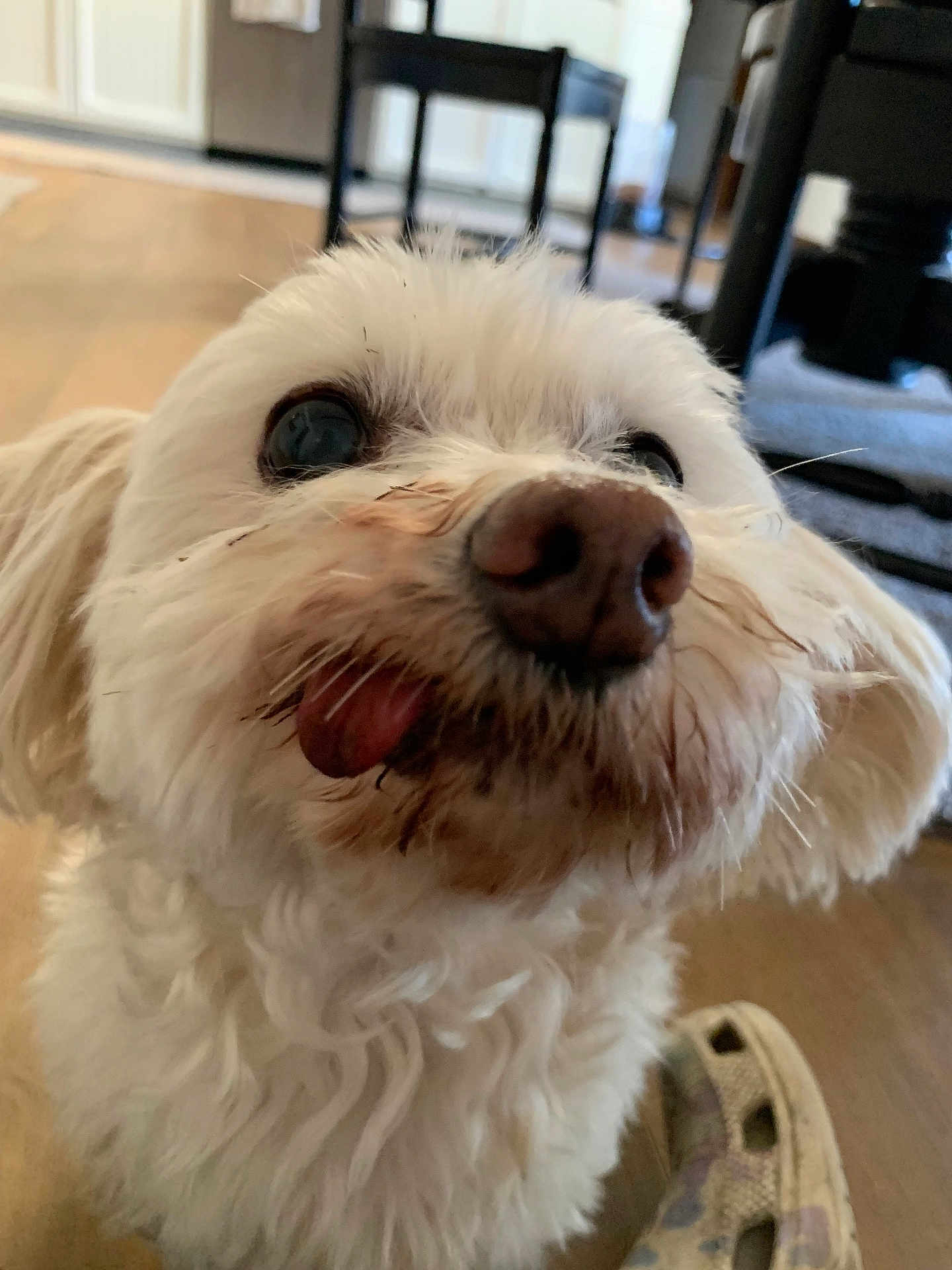 Bella