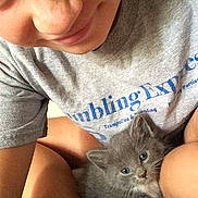 Squeakers joined the competition — help win amazing prizes! person, kitten, cat, gray_cat, blue_eyes, smiling, selfie, cuddling, indoor, casual_clothing, tshirt, closeup, cute, pet, animal, furry, lap, relaxed, comfort, young