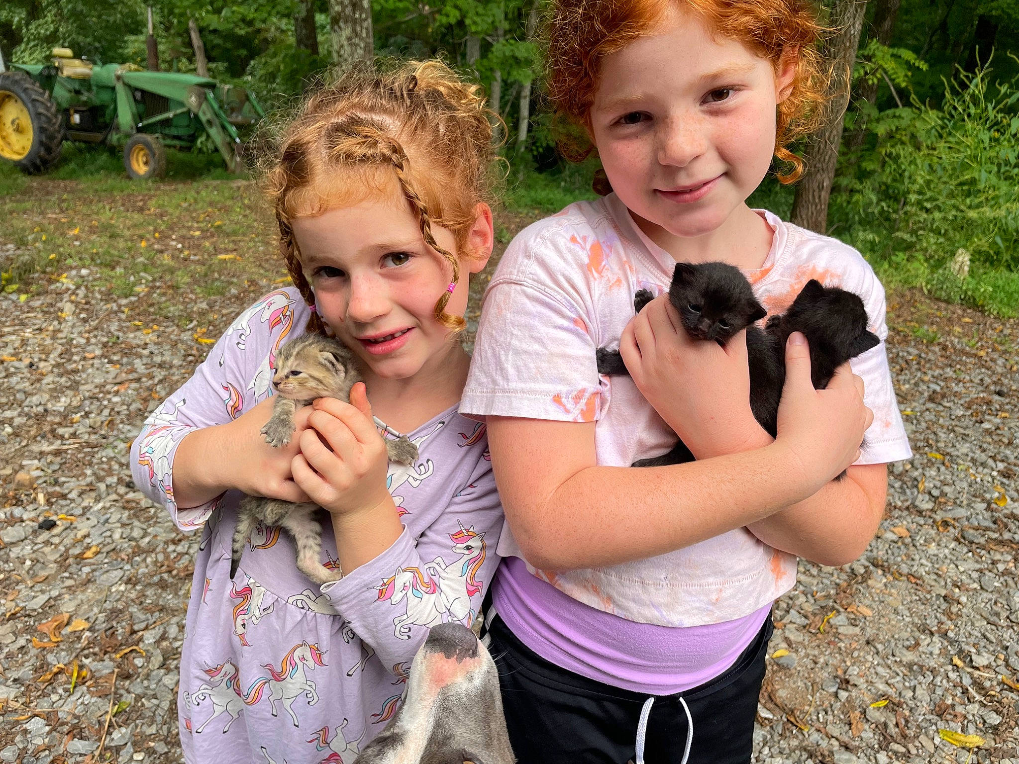 Lauryn is registered to the contest to win money with this photo: fawn, finger, gesture, grass, grass_family, happy, iris, joy, leisure, people_in_nature, person, plant, recreation, smile, social_group, summer, t_shirt, thumb, tire, toddler