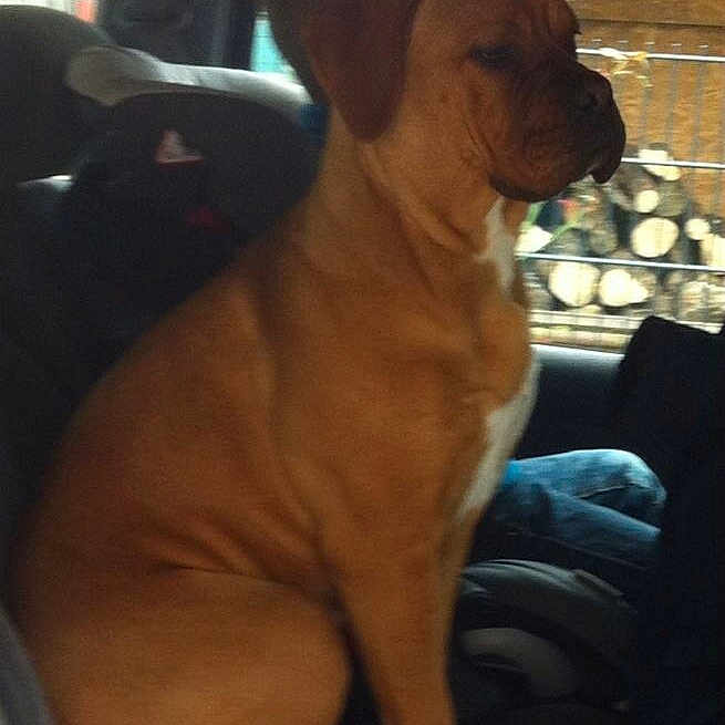 Nala
