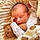 Noah