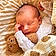 Noah
