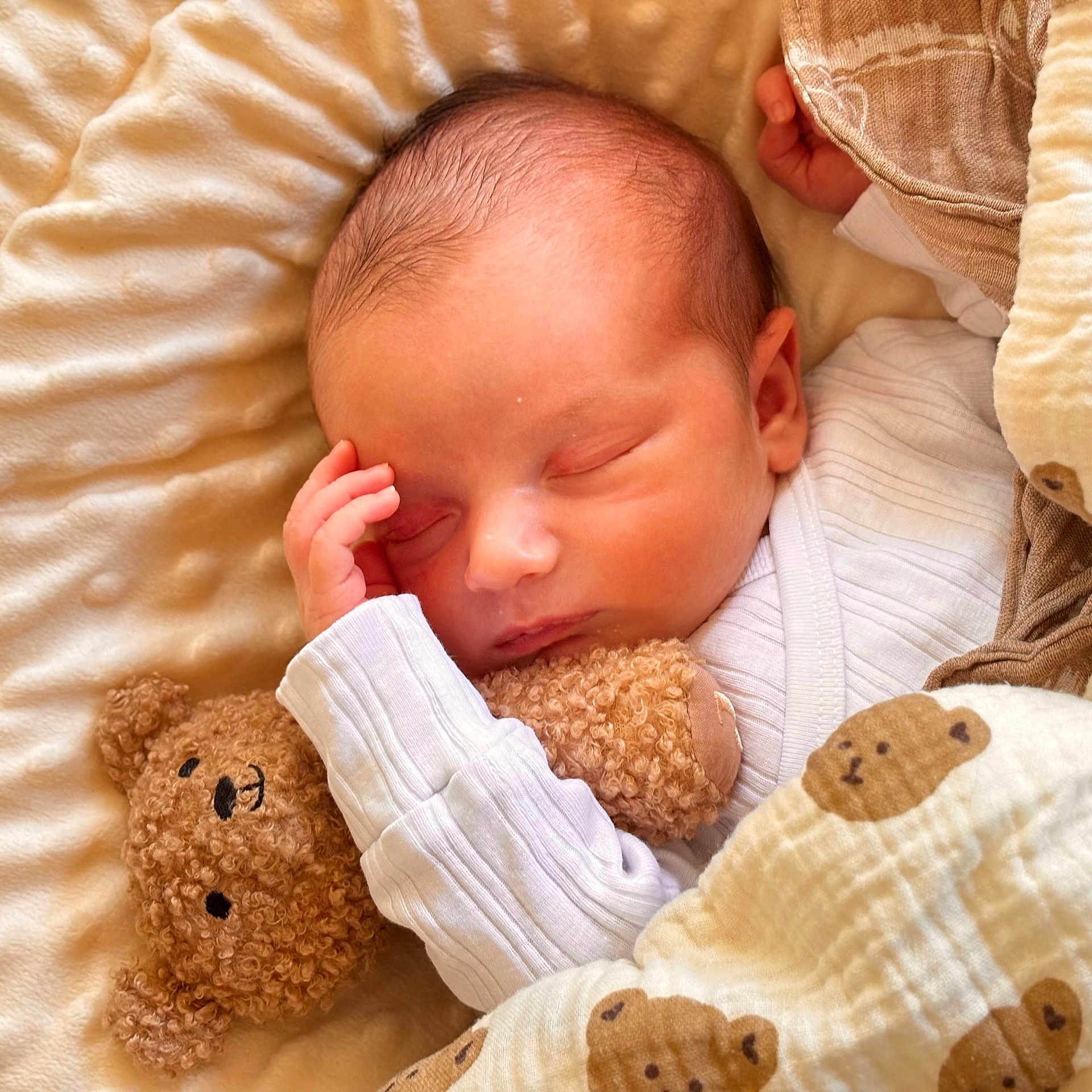 Noah participe au concours pour gagner de l'argent avec cette photo : baby, bed, blanket, child, clothing, comfort, cozy, cute, face, hand, infant, newborn, peaceful, portrait, resting, sleeping, snuggling, soft, teddy_bear, warm