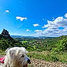 Up a rejoint le concours — aidez-le/la à gagner de superbes lots ! animal, blue_sky, castle, clouds, dog, fur, grass, greenery, hills, landscape, nature, outdoor, panting, pet, rocks, scenic_view, summer, sunlight, valley, white_dog