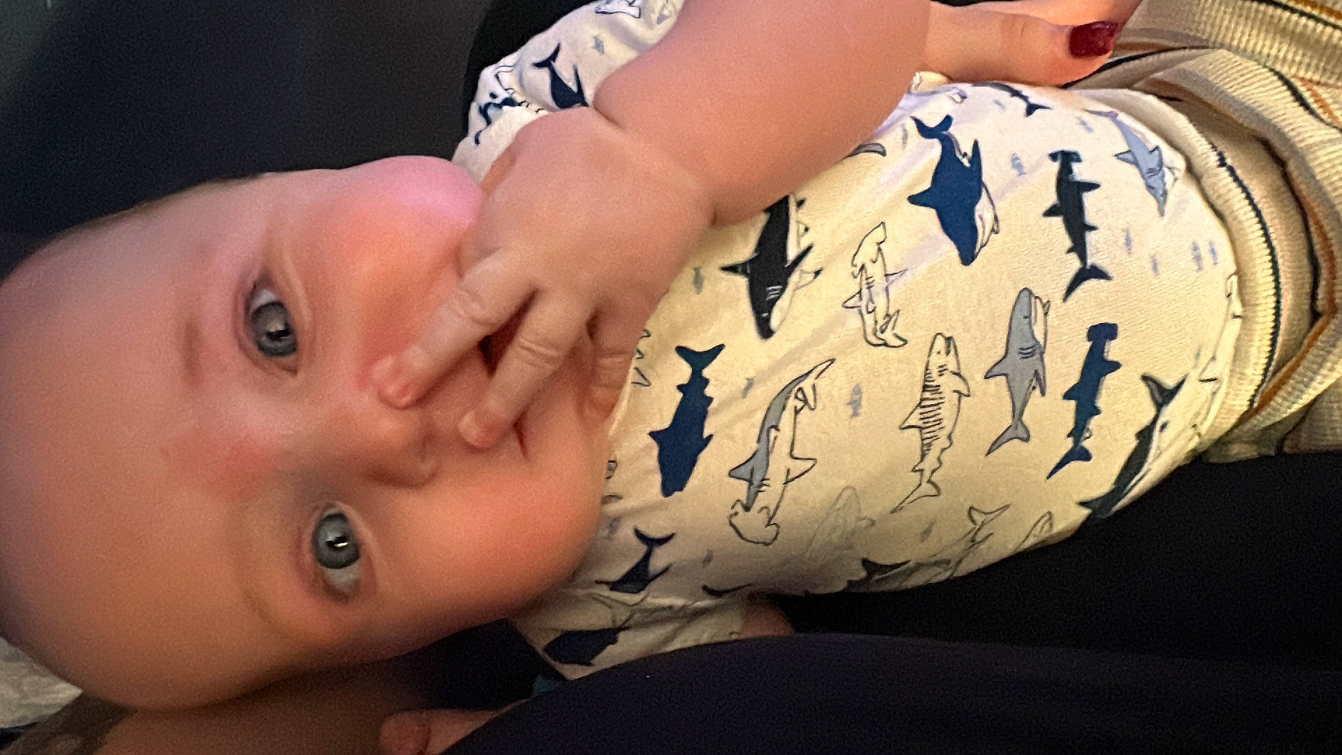 Waylon joined the competition — help win amazing prizes! arm, baby, cheek, chest, comfort, elbow, eyelash, finger, gesture, hand, happy, human_body, muscle, neck, organ, person, skin, sleeve, toddler, trunk