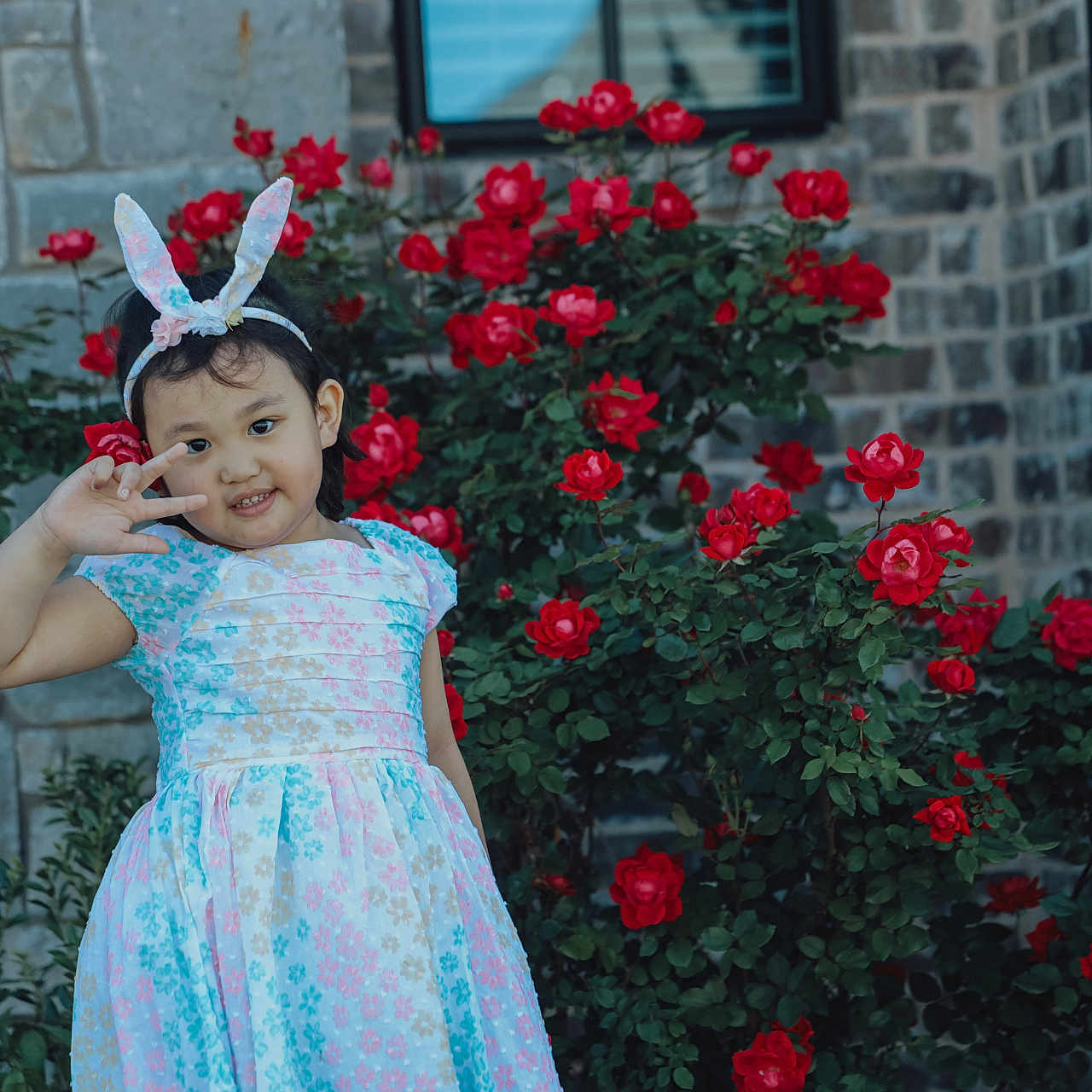 Cing is registered to the contest to win money with this photo: brick_wall, bunny_ears, child, cute, dress, flower_bush, flowers, garden, girl, greenery, nature, outdoor, peace_sign, playful, portrait, red_roses, roses, smiling, spring, stone_wall