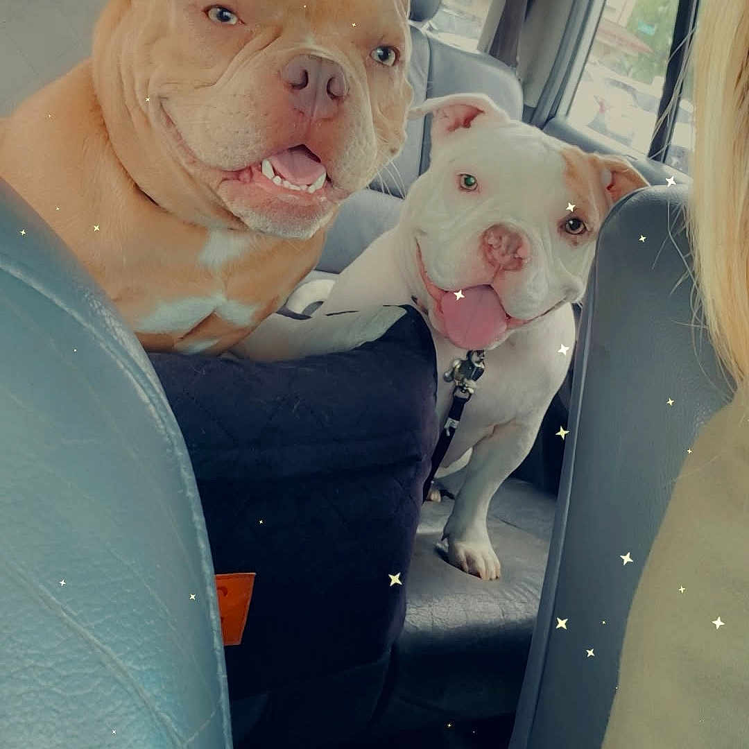 Chica And Tony