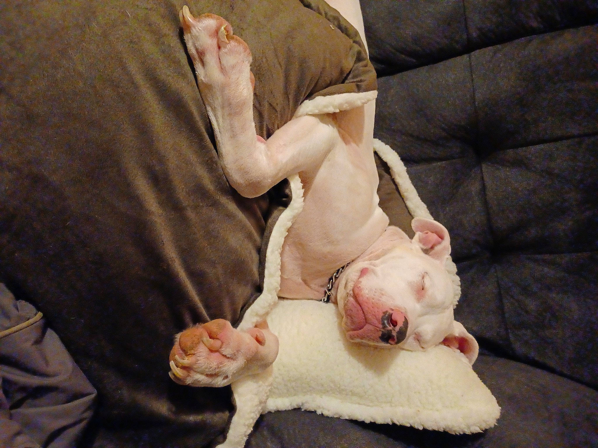 Brodox joined the competition — help win amazing prizes! abdomen, baby, barefoot, comfort, flooring, foot, fur, gesture, happy, head, human_body, human_leg, knee, leg, linens, nail, neck, thigh, toddler, wrist