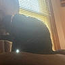 Ocean is registered to the contest to win money with this photo: animal, backlit, blinds, cat, couch, curtain, domestic, feline, furniture, glow, hazy, indoor, pet, relaxing, shadow, silhouette, soft_light, sunlight, warm, window