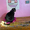 animal, art_space, cartoon_cat, cat, colorful, decor, feline, foil, green_eyes, ice_cream_poster, indoor, paint_splatter, pet, pink_foil, pink_wall, playful, poster, sitting, tabby_cat, wooden_table