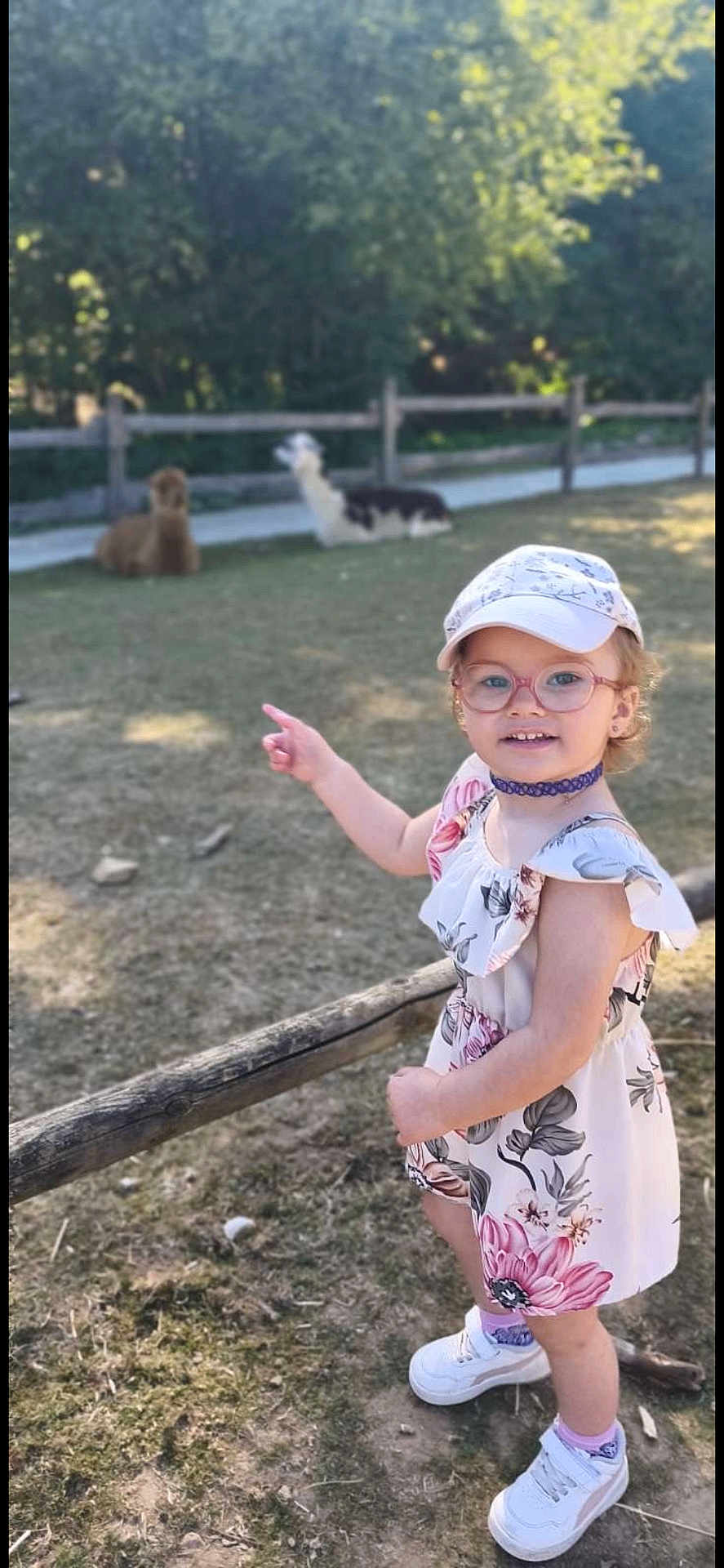 Mya