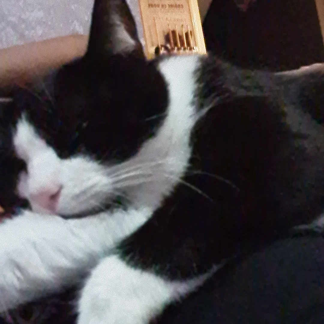 Milka