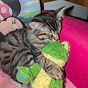 Chewy joined the competition — help win amazing prizes! cat, tabby_cat, stuffed_toy, frog, plush_toy, hugging, sleeping, pink_chair, minnie_mouse, furniture, indoor, pet, furry, cozy, cute, animal, resting, soft_toy, close_up, domestic_cat