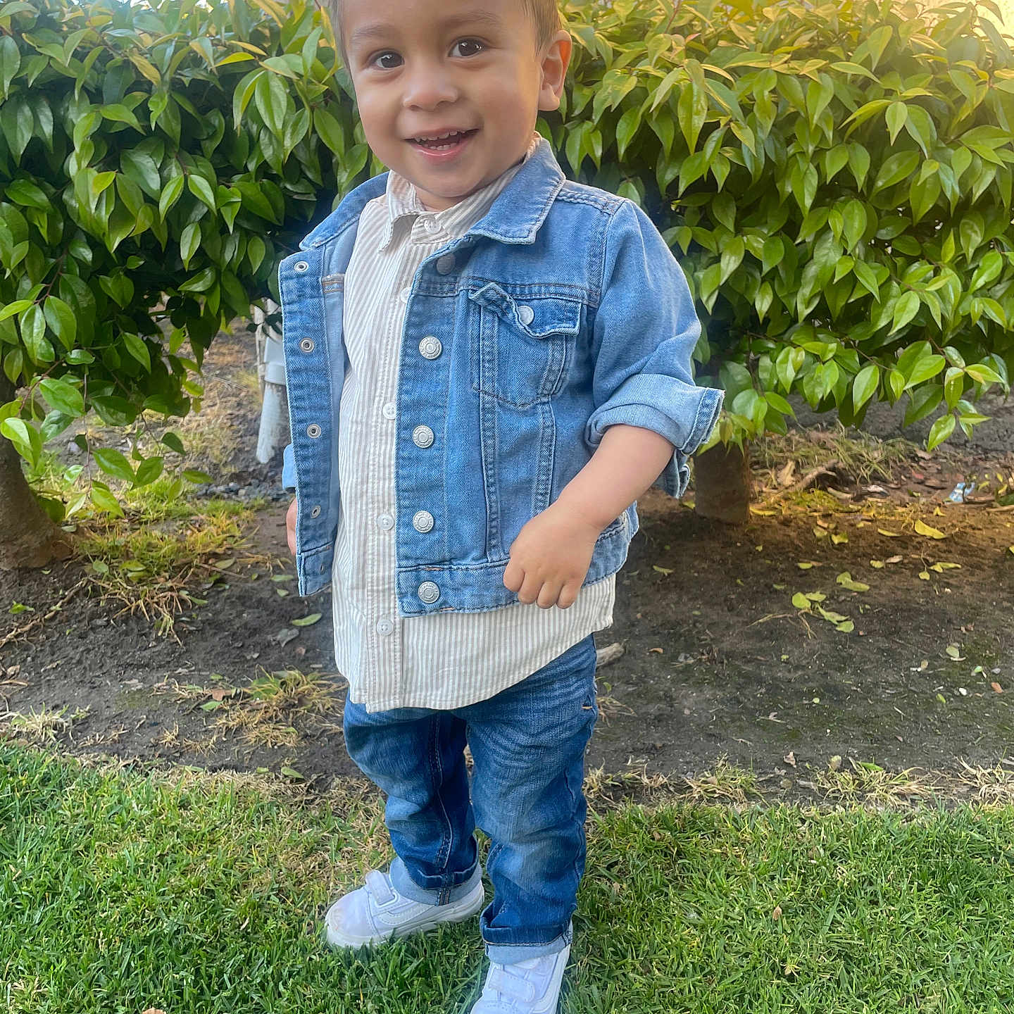 Dylan is registered to the contest to win money with this photo: backyard, boy, child, clothing, coat, face, grass, head, jacket, jeans, male, nature, outdoors, pants, person, photography, plant, portrait, standing, yard