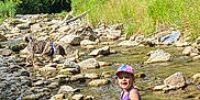 Romy participe au concours pour gagner de l'argent avec cette photo : child, dog, stream, rocks, water, forest, trees, grass, sunlight, cap, purple_dress, outdoor, nature, happy, playful, summer, animal, person, shallow_water, exploration