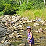 child, dog, stream, rocks, water, forest, trees, grass, sunlight, cap, purple_dress, outdoor, nature, happy, playful, summer, animal, person, shallow_water, exploration