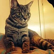 Jena participe au concours pour gagner de l'argent avec cette photo :