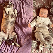 Jacob is registered to the contest to win money with this photo: baby, dog, blanket, striped_clothing, bib, patterned_bedspread, lying_down, pet, infant, cute, relaxed, indoor, animal, child, face, paw, sock, fur, portrait, cozy