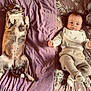 baby, dog, blanket, striped_clothing, bib, patterned_bedspread, lying_down, pet, infant, cute, relaxed, indoor, animal, child, face, paw, sock, fur, portrait, cozy