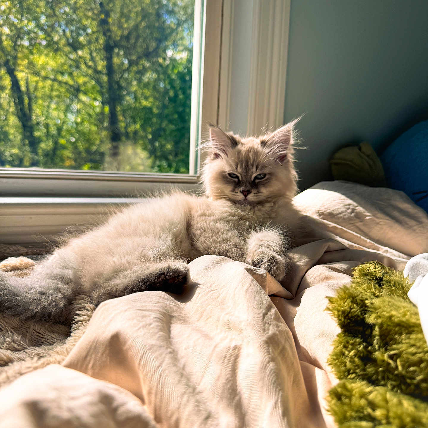 Huxley