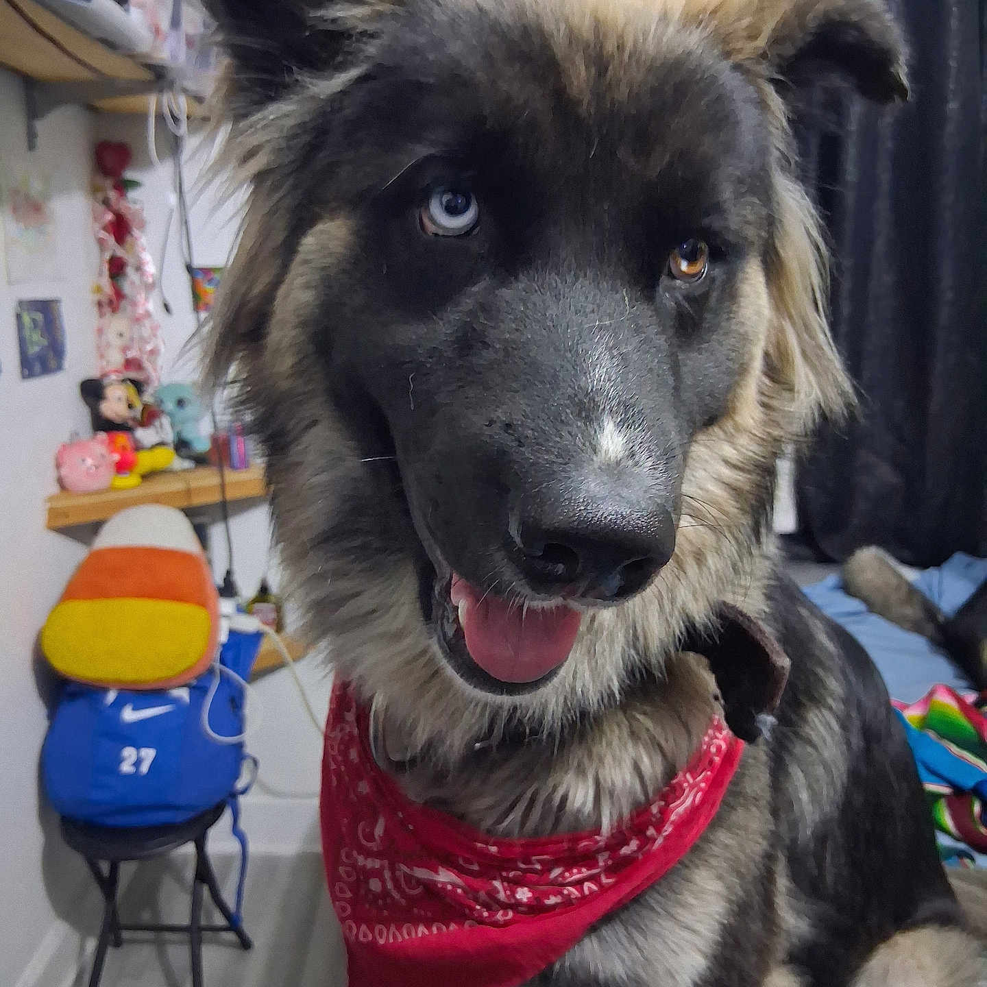 Fozzy Bear