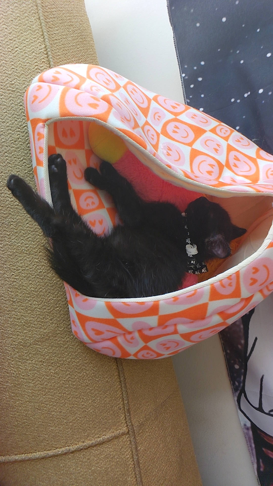 Sapphire joined the competition — help win amazing prizes! animal, black_cat, cat, collar, comfort, couch, cozy, domestic_cat, feline, fur, household, indoor, orange, patterned_bed, pet_bed, pink, relaxed, resting, sleeping, smiley_face