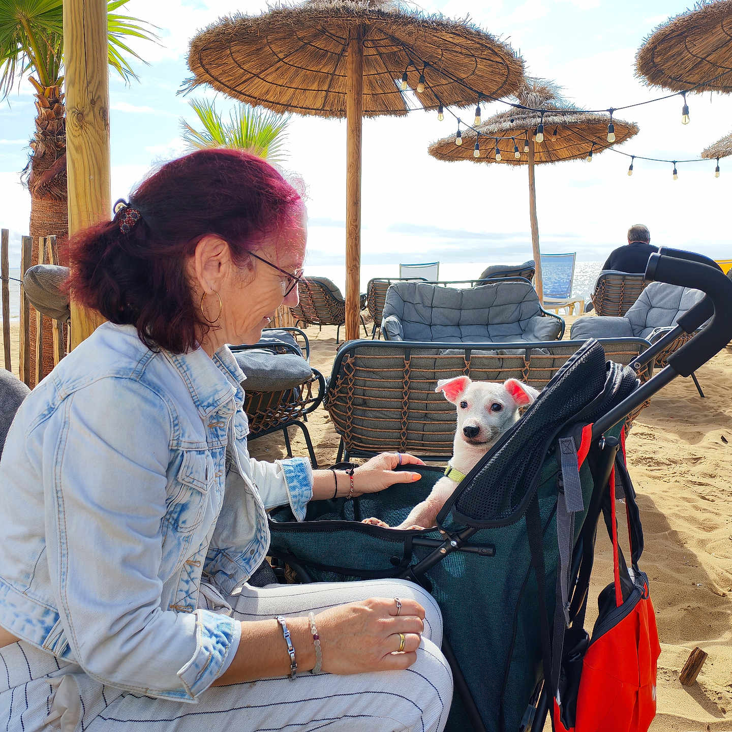 Niwit participe au concours pour gagner de l'argent avec cette photo : woman, dog, beach, stroller, umbrella, sand, outdoor, sunny, casual_clothing, glasses, smiling, leisure, vacation, lounge_chair, palm_tree, daytime, relaxation, pet, seaside, friendship