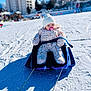 Abygaëlle a rejoint le concours — aidez-le/la à gagner de superbes lots ! baby, sled, snow, snow_suit, beanie, pacifier, winter, outdoor, child, cold_weather, snowy_landscape, buildings, blue_sky, sunny, winter_clothing, snow_tracks, play, fun, recreation, seat