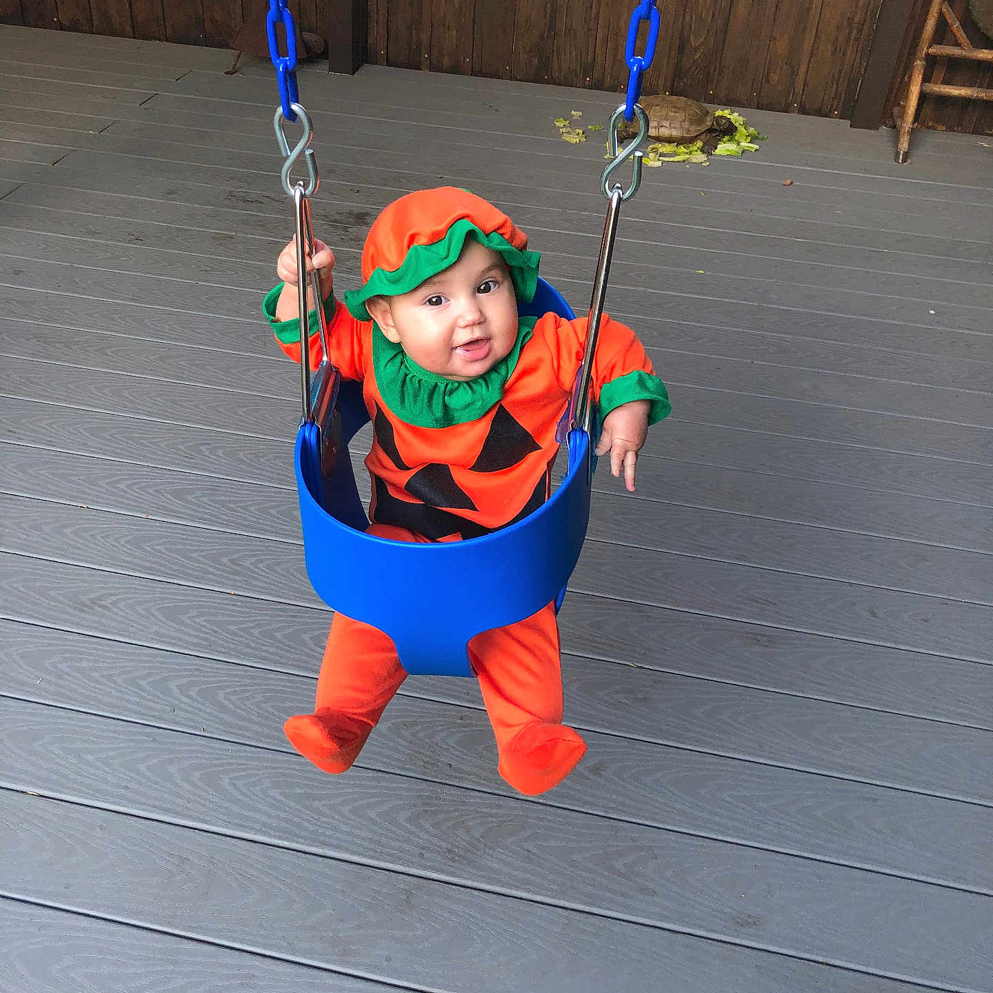 Rebecca is registered to the contest to win money with this photo: animal, baby, blue_swing, child, costume, cute, deck, fall, happy, holiday, infant, orange_clothing, outdoor, person, playful, pumpkin_costume, smile, swing, turtle, wooden_fence