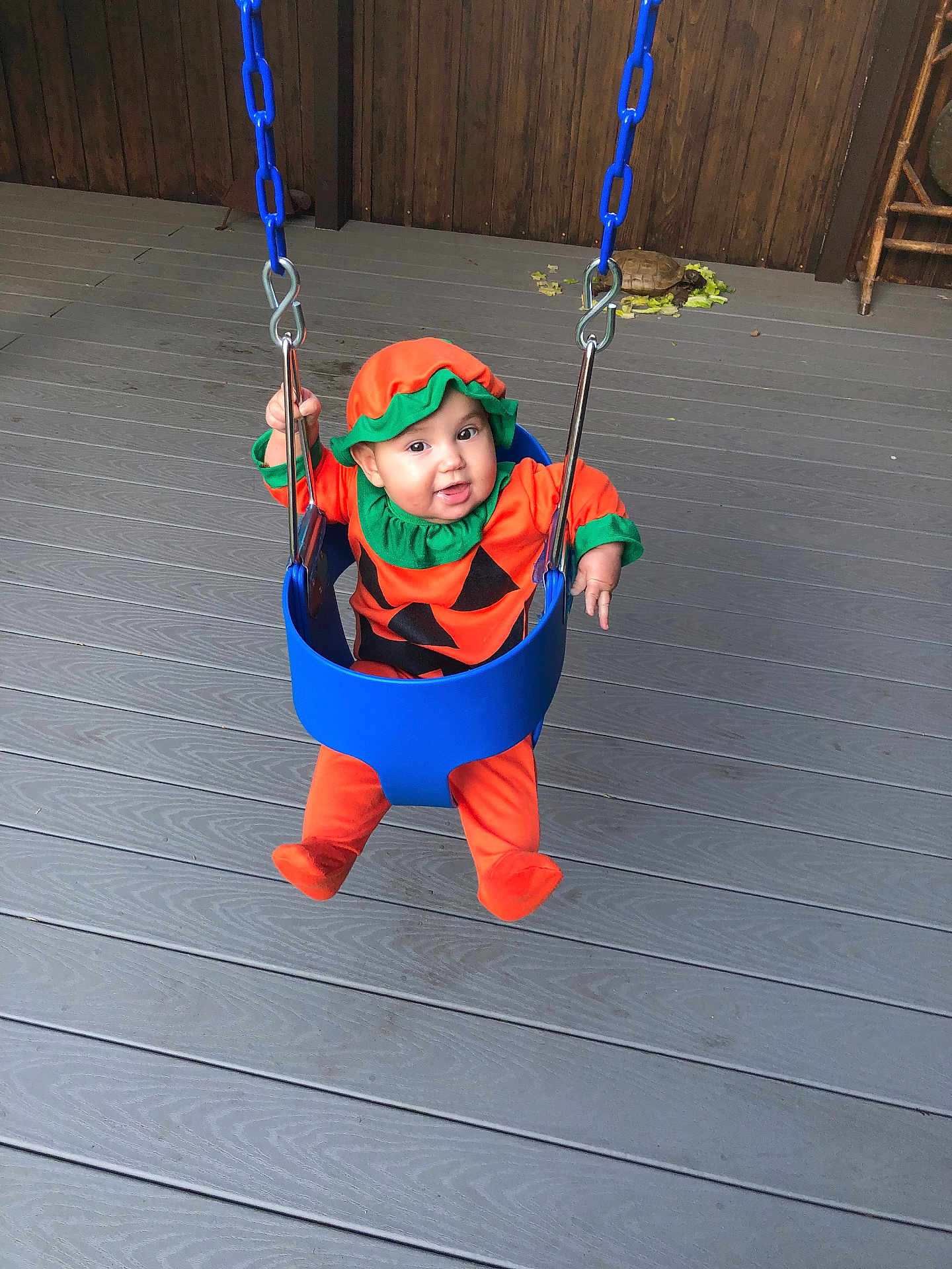 Rebecca is registered to the contest to win money with this photo: animal, baby, blue_swing, child, costume, cute, deck, fall, happy, holiday, infant, orange_clothing, outdoor, person, playful, pumpkin_costume, smile, swing, turtle, wooden_fence