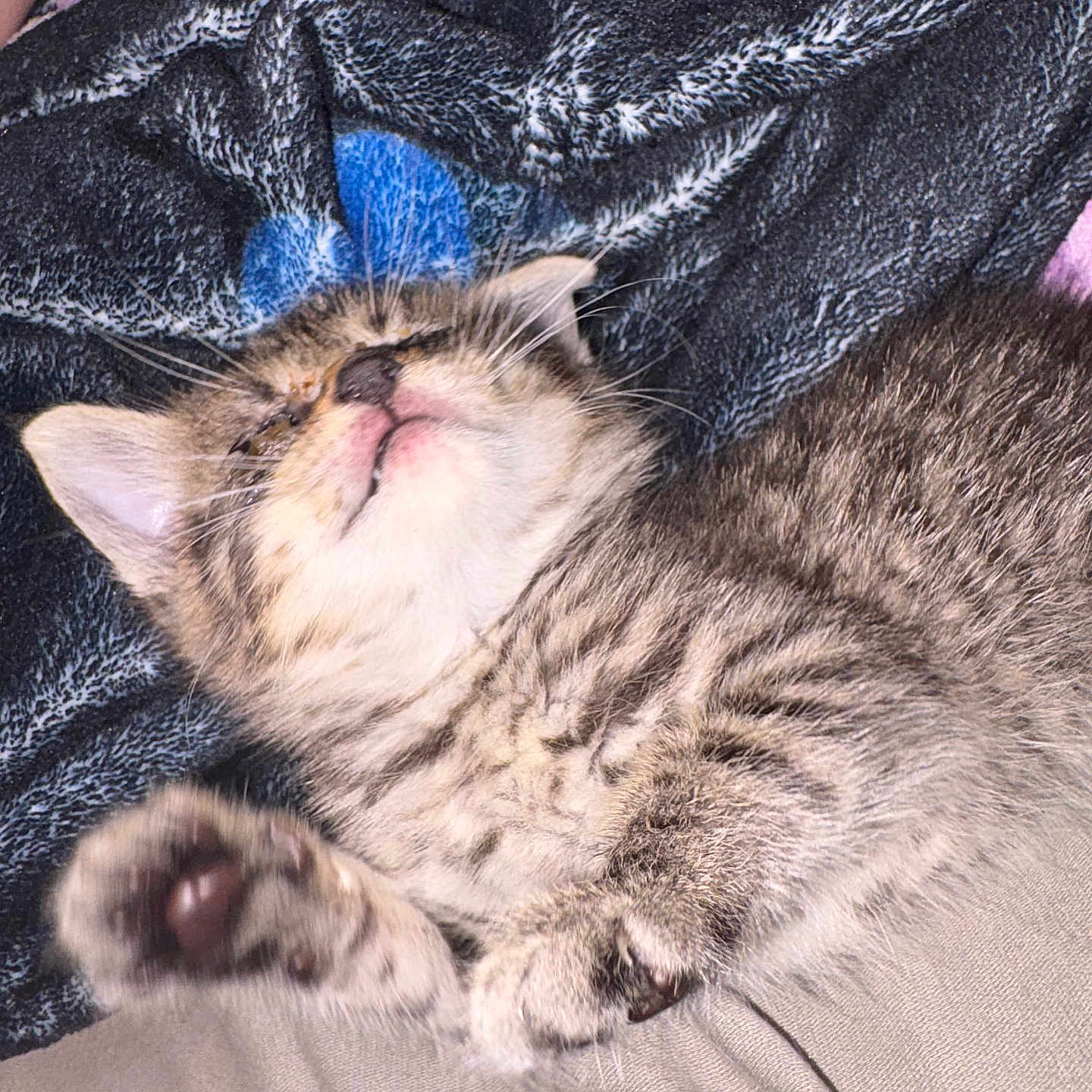 Coco