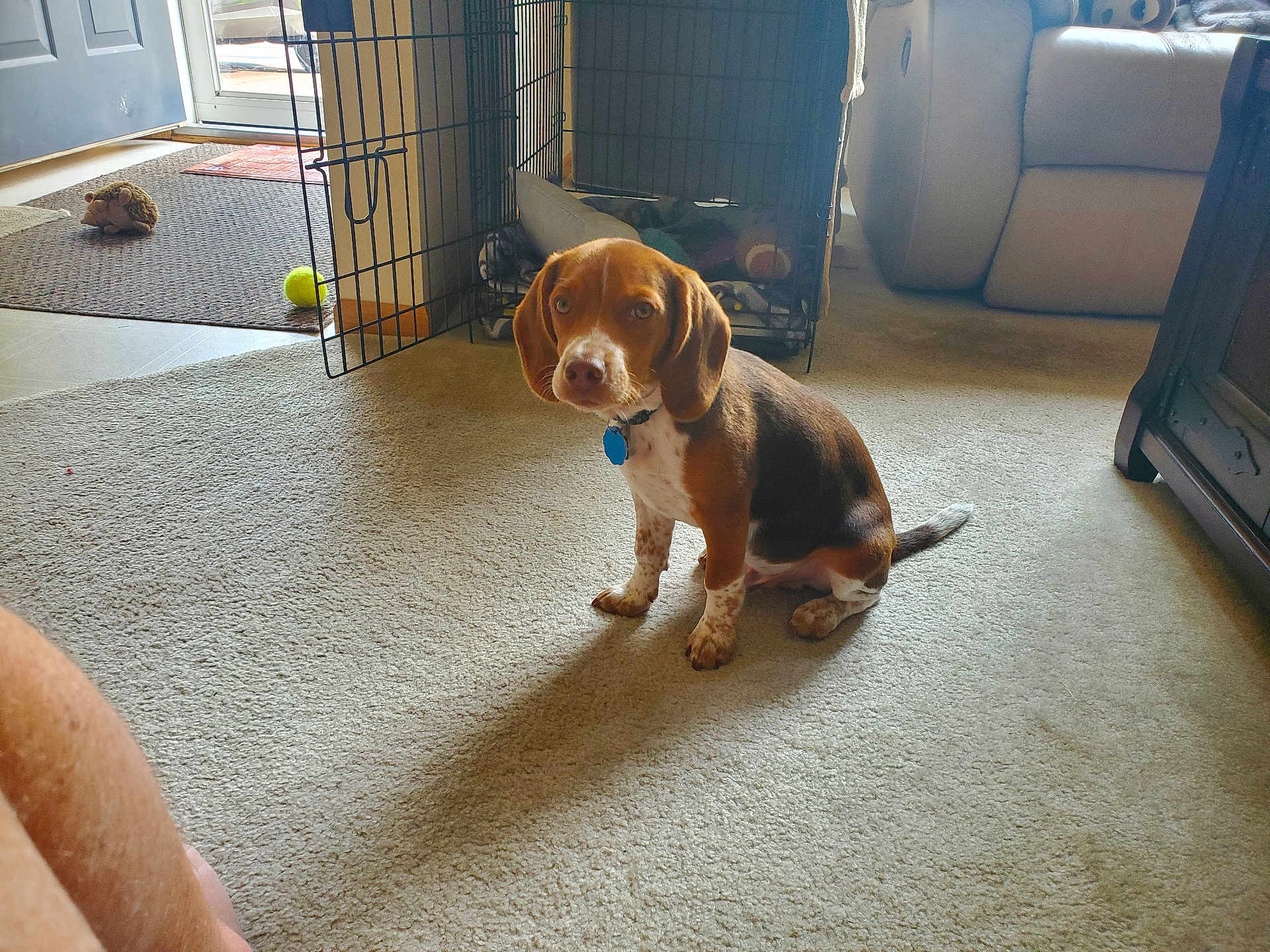 Cooper