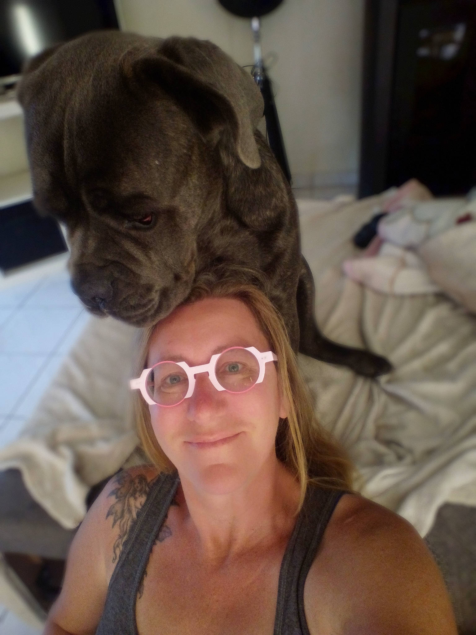 Pogo a rejoint le concours — aidez-le/la à gagner de superbes lots ! active_tank, carnivore, comfort, companion_dog, dog, dog_breed, eyewear, fawn, glasses, hair, liver, mammal, pug, smile, snout, sunglasses, vision_care, whiskers, working_animal, wrinkle