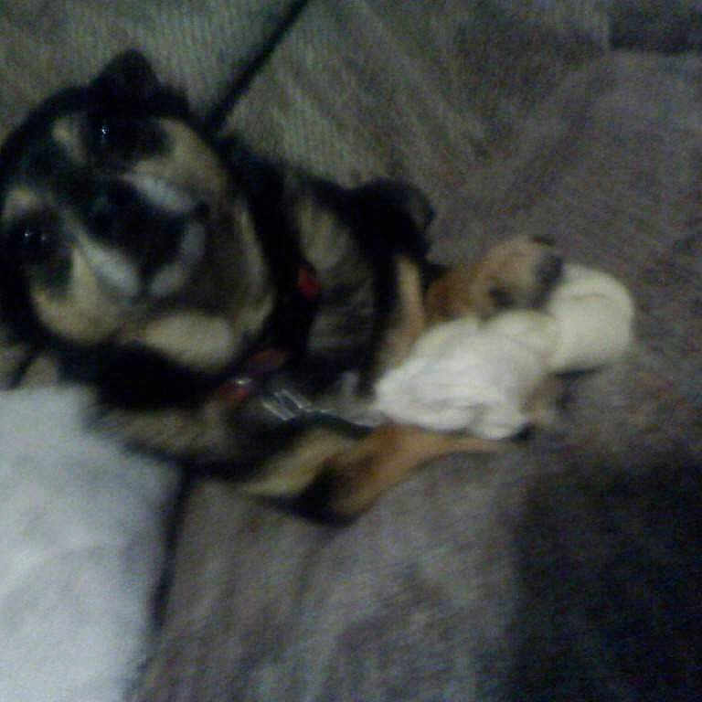 Roxie