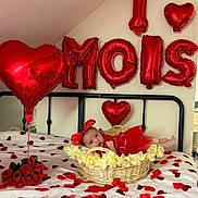 Inaya a rejoint le concours — aidez-le/la à gagner de superbes lots ! baby, infant, basket, bed, red_balloon, heart_balloon, foil_balloons, rose_petals, roses, headband, bow, red_tutu, blanket, bed_frame, decoration, party, celebration, portrait, nursery, soft_toys