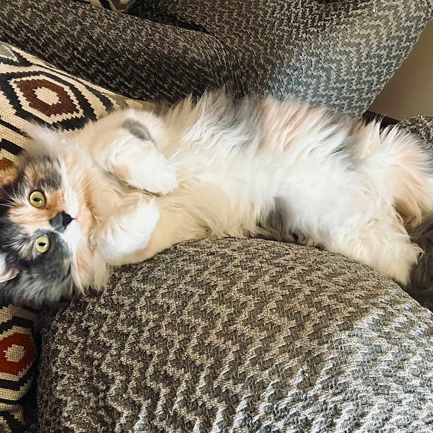 Chloe