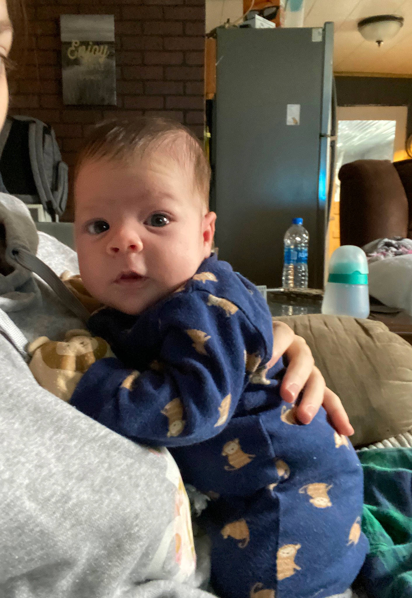 Miles is registered to the contest to win money with this photo: baby, baby_toddler_clothing, child, comfort, fur, hairstyle, home_appliance, lamp, lap, linens, living_room, person, refrigerator, room, sitting, skin, sleeve, t_shirt, television, toddler