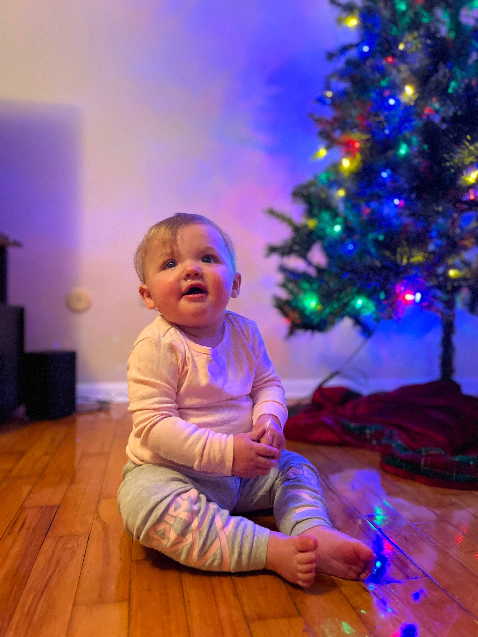 Journey joined the competition — help win amazing prizes! baby, christmas_decoration, christmas_ornament, christmas_tree, event, evergreen, flooring, fun, happy, hardwood, holiday, laminate_flooring, lighting, ornament, person, plant, purple, smile, toddler, tree