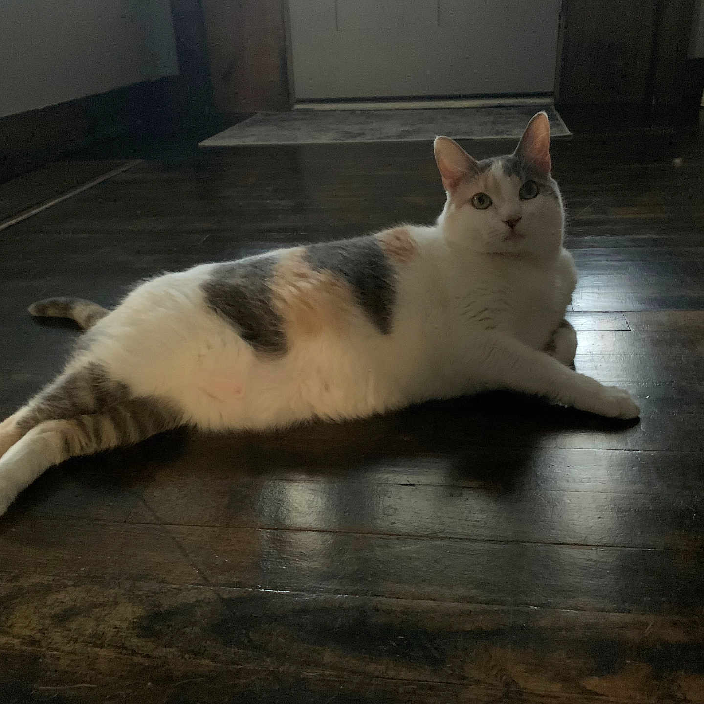 Millie Sue