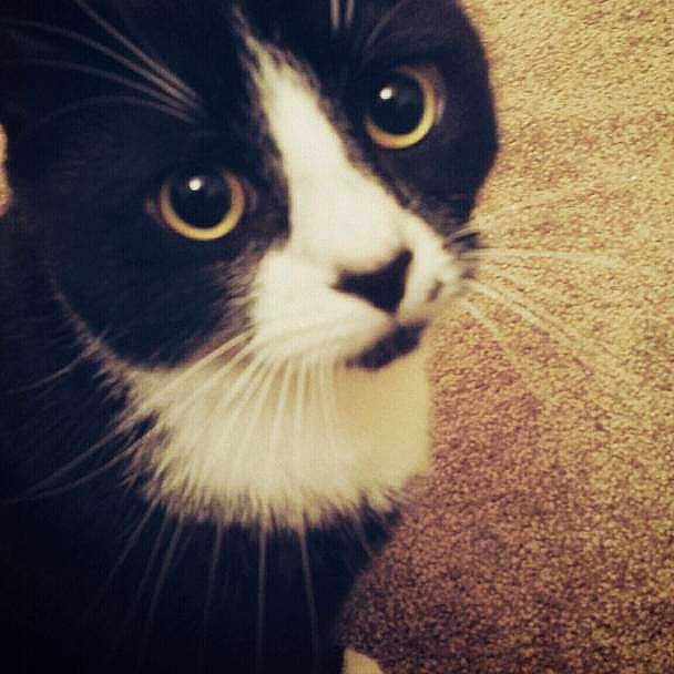 Coco joined the competition — help win amazing prizes!