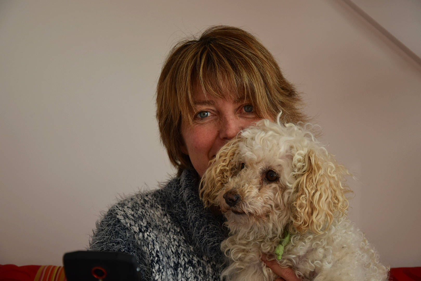 Choupette participe au concours pour gagner de l'argent avec cette photo : bolonka, canidae, carnivore, cavachon, cockapoo, companion_dog, dog, dog_breed, eye, lagotto_romagnolo, maltepoo, mammal, miniature_poodle, nose, person, poodle_crossbreed, schnoodle, snout, spanish_water_dog, toy_poodle