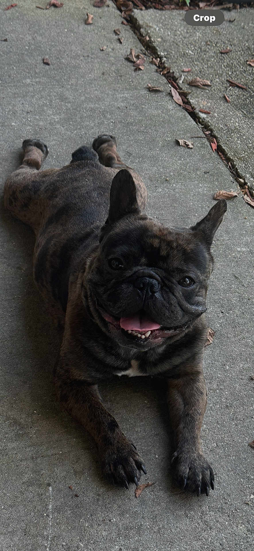Milo
