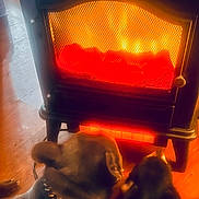 Rico joined the competition — help win amazing prizes! chain_collar, closeup, collar, cozy, dog, dogs, electric_heater, fireplace, glow, heater, home, indoor, lighting, mesh_screen, metal, paws, pet, two_animals, warmth, wood_floor
