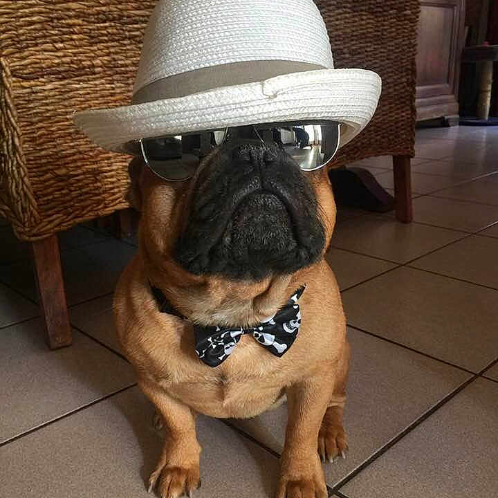 Jude