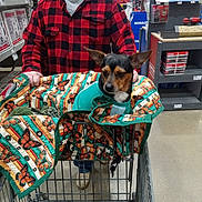 Casey is registered to the contest to win money with this photo: animal, butterfly_pattern, casual_clothing, clothing, dog, floor, footwear, indoor, man, person, pet, plaid, product, quilt, retail, shelf, shirt, shopping, shopping_cart, store