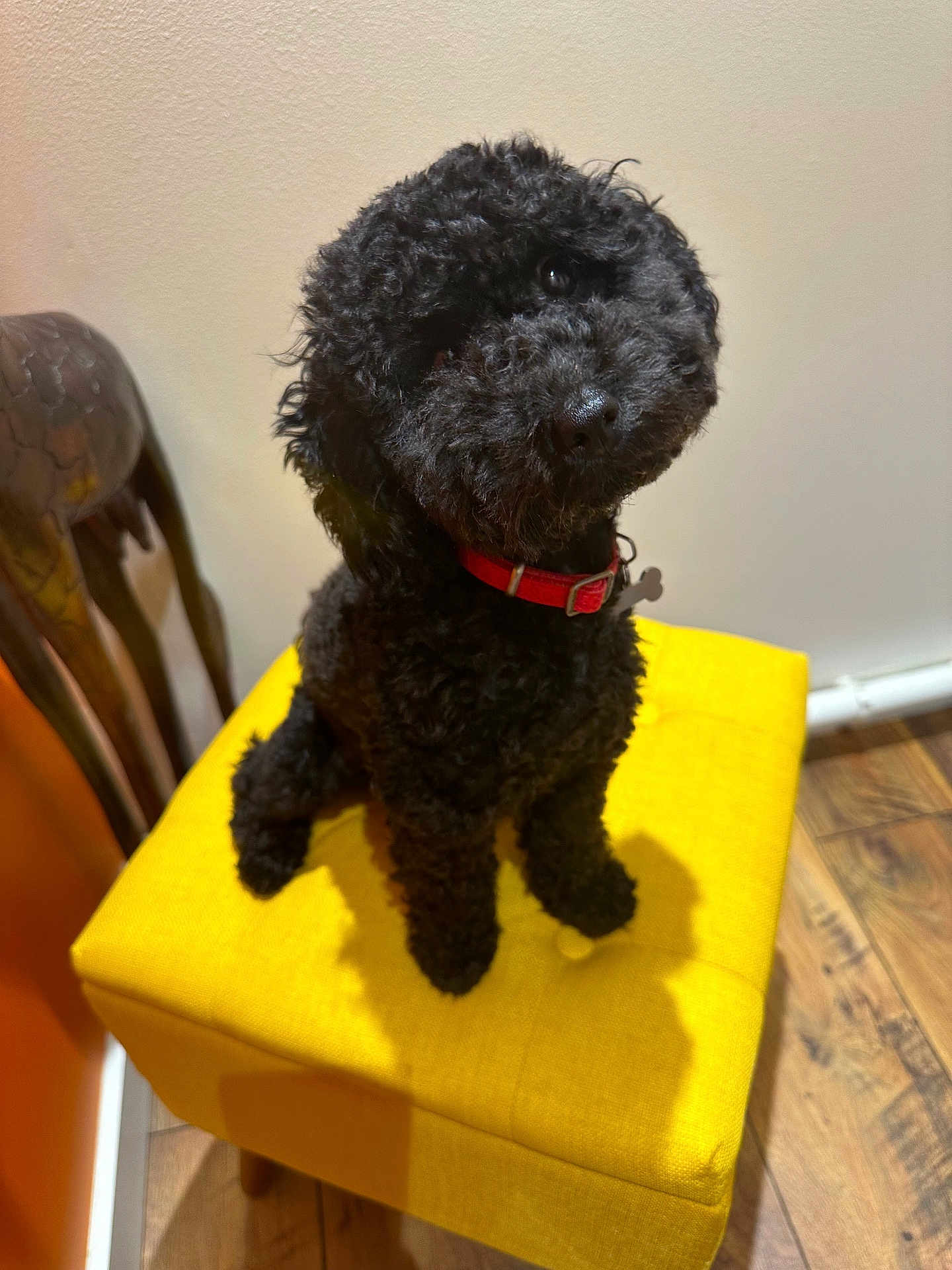 Lulu